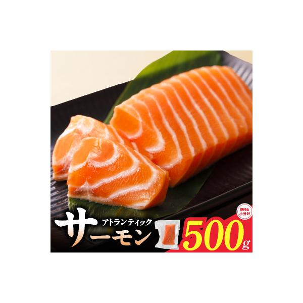 アトランティックサーモン 500g ポーション 小分け 真空パック  nbj0003