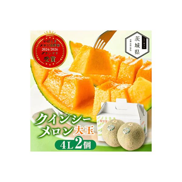 【先行受付】令和9年5月順次発送 茨城県鉾田市 山一ファーム クインシーメロン 大玉4L～5L・2玉