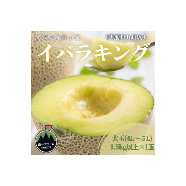 【先行受付】令和9年5月順次発送 茨城県オリジナル品種!!イバラキング 4L～5L・1玉 数量限定