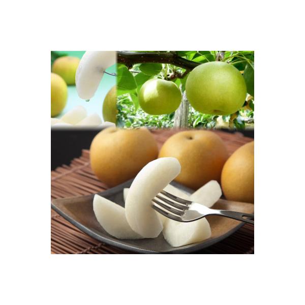 ■お礼品詳細　・配送種別：通常　・提供元：高間商店　本社（若桜町）■お申し込み・配送・その他　・発送時期：2026-08-25〜2026-09-30(お届け時間帯指定可)　・申込受付期間：〜2026-09-20　・配達外のエリア：離島、北海...