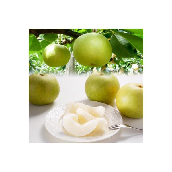 ■お礼品詳細　・配送種別：通常　・提供元：高間商店　本社（若桜町）■お申し込み・配送・その他　・発送時期：2026-08-25〜2026-09-30(お届け時間帯指定可)　・申込受付期間：〜2026-09-20　・配達外のエリア：離島、北海...