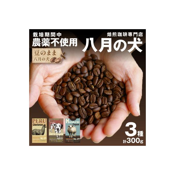 コーヒー豆 飲み比べお試しセット (100gx3種) 自家焙煎珈琲豆 【栽培期間中農薬不使用】
