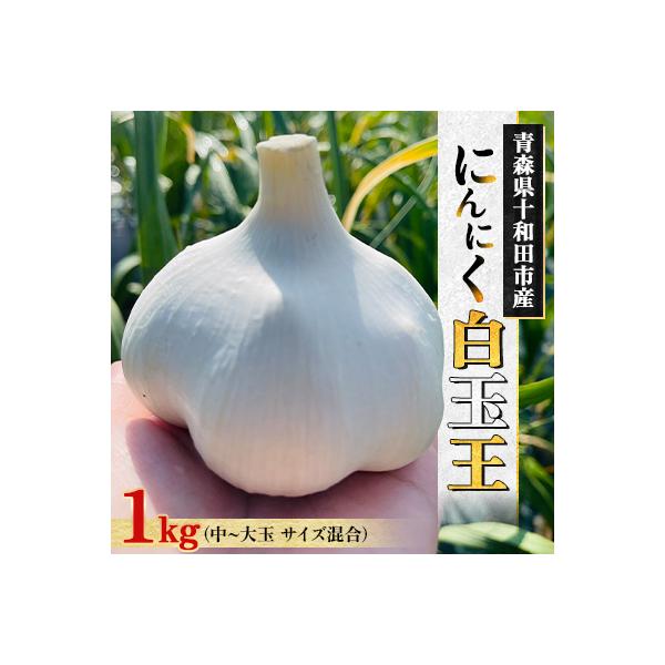 ふるさと納税 十和田市 【テレビ紹介】青森にんにく白玉王1kg (産地