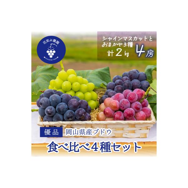 岡山　花笑み農園の『食べ比べ4種』シャイン入り　優品　2kg(4房)4M-2優