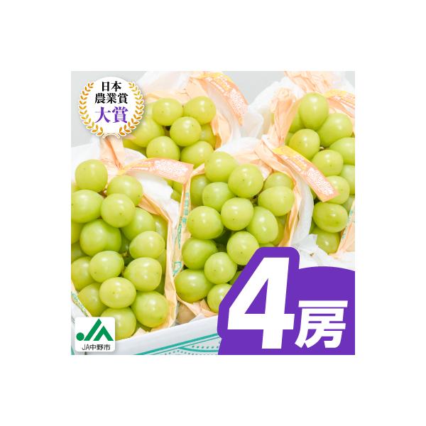 【2026年発送】旬のシャインマスカット4房セット(2kg以上)JA中野市からの産直品