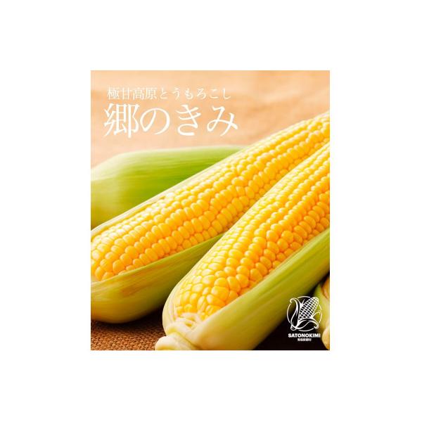 ■お礼品詳細　・配送種別：冷蔵便　・提供元：新郷村郷のきみの会■お申し込み・配送・その他　・発送時期：2026-08-05〜2026-09-30(お届け時間帯指定可)　・申込受付期間：〜2026-09-11　・配達外のエリア：離島、沖縄県、...