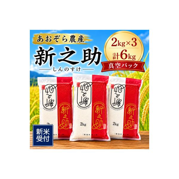 【新米受付・令和8年産米】【真空パック】新潟ブランド米・新之助精米6kg(2kg×3袋)NA4220