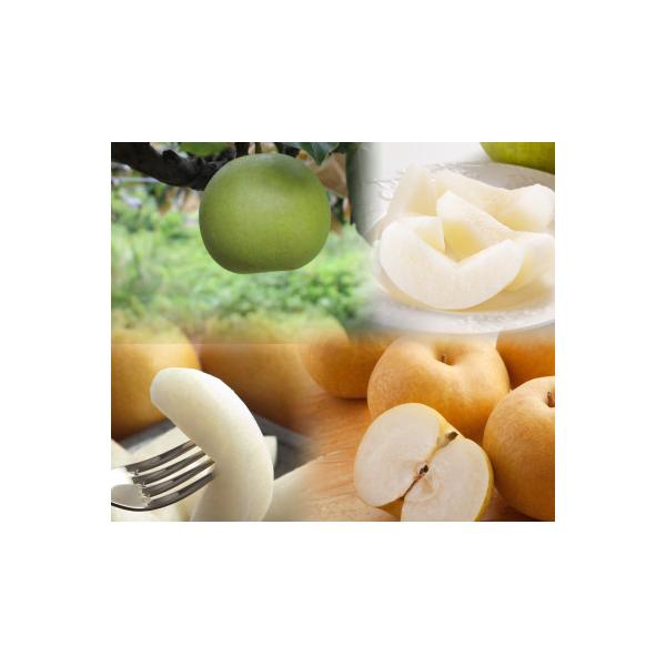 ■お礼品詳細　・配送種別：通常　・提供元：高間商店　本社（若桜町）■お申し込み・配送・その他　・発送時期：2025-12-22〜2026-02-28(お届け時間帯指定可)　・申込受付期間：〜2026-01-31　・配達外のエリア：離島、北海...