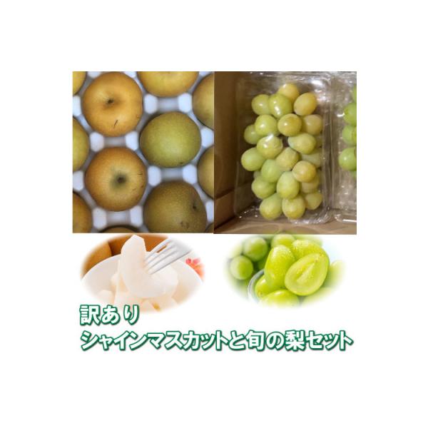 ■お礼品詳細　・配送種別：冷蔵便　・提供元：高間商店　本社■お申し込み・配送・その他　・発送時期：2026-08-20〜2026-09-30(お届け時間帯指定可)　・申込受付期間：〜2026-09-15　・配達外のエリア：離島、北海道、沖縄...