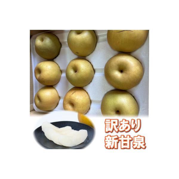 【訳あり】新甘泉 3kg