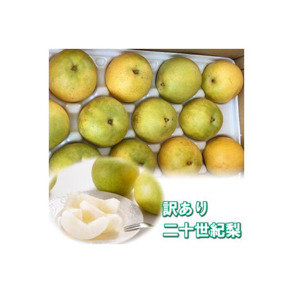【訳あり】二十世紀梨 4kg