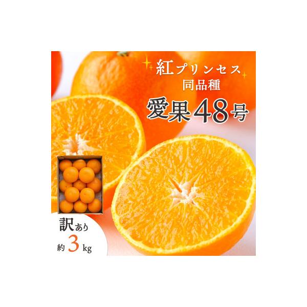 【先行受付】「紅プリンセス」と同品種!愛媛果試48号 3kg【訳あり】【E25-174】