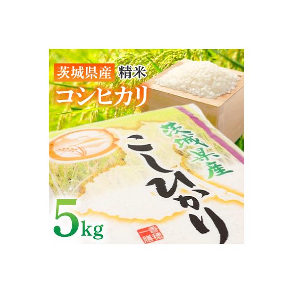 【令和7年産 】 茨城県産 コシヒカリ 精米5kg　毎月上旬より順次発送予定
