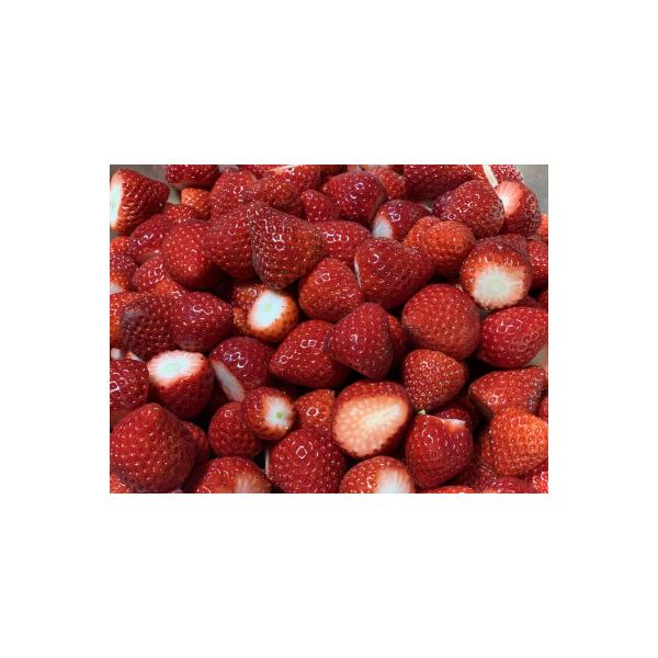 【希少あまりん】冷凍いちご1kg