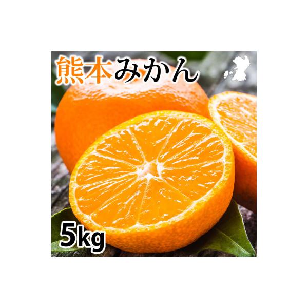 熊本みかん 5kg【2026年10月上旬から2027年2月下旬発送予定】