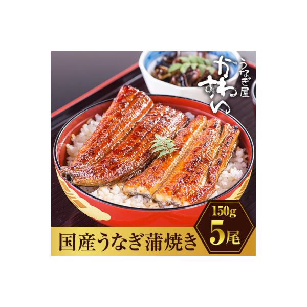 国産うなぎ蒲焼5尾セット(総量750g以上)