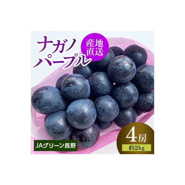 JAグリーン長野　ナガノパープル　4房(計約2kg)　8月下旬より順次発送