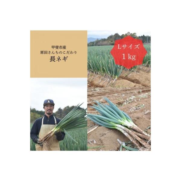 ■お礼品詳細　・配送種別：通常　・提供元：Ｋａｔｅｒｉａｌ■お申し込み・配送・その他　・発送時期：2025/08/18〜2026/03/01(お届け時間帯指定可)　・申込受付期間：〜2026-02-15　・配達外のエリア：　・寄付証明書の送...