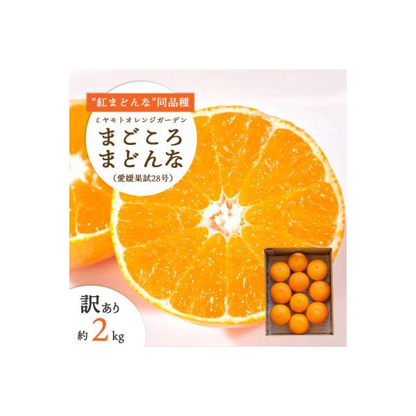 【訳あり】紅まどんな と同品種!愛果28号 2kg【C25-179】