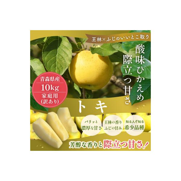 【2026年10月から順次発送予定】平均糖度12度以上! トキ 約10kg 訳あり