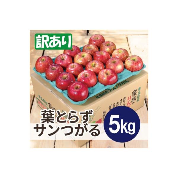 【2026年9月発送予定】平均糖度12度以上! 葉とらずサンつがる 約5kg 訳あり