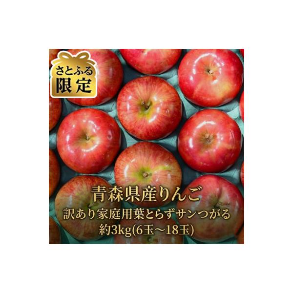 【2026年9月より発送予定】平均糖度12度以上!葉とらずサンつがる約3kg 訳あり【さとふる限定】