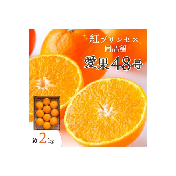【先行受付】甘平×まどんな「紅プリンセス」と同品種!愛媛果試48号 2kg【E25-181】