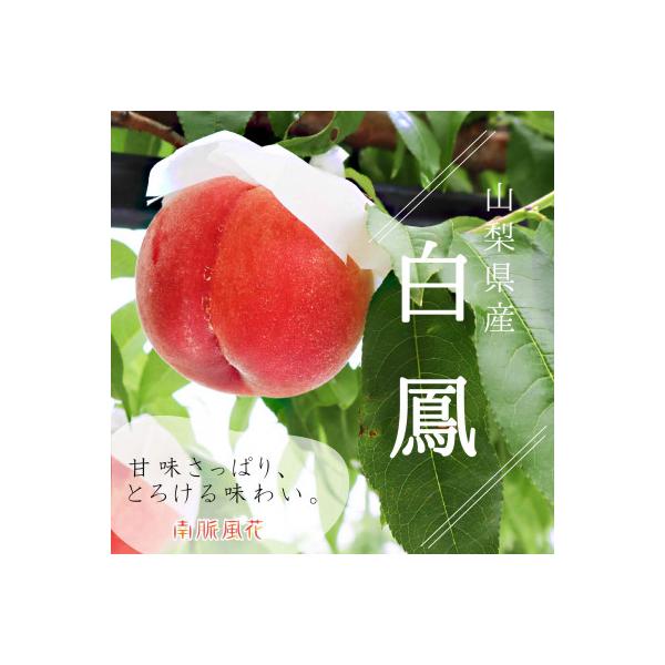 ■お礼品詳細　・配送種別：通常　・提供元：株式会社Ｋａｔｅｒｉａｌ（南脈風花）■お申し込み・配送・その他　・発送時期：2026-06-10〜2026-07-15(お届け時間帯指定可)　・申込受付期間：〜2026-06-29　・配達外のエリア...