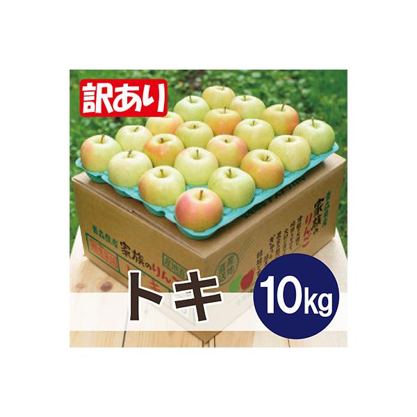 【2026年11月より順次発送】平均糖度13度以上! トキ 約10kg 訳あり