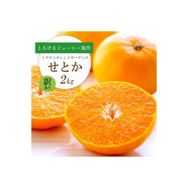 【先行受付】とろける濃厚柑橘 せとか2kg 愛媛県八幡浜産【訳あり】【C25-185】