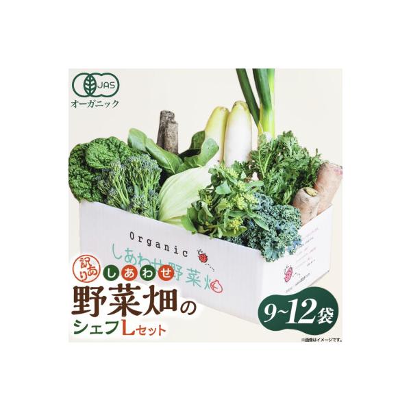 しあわせ野菜畑のシェフLセット　(訳あり規格外の有機野菜を一部使用)