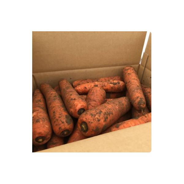 ■お礼品詳細　・配送種別：通常　・提供元：おとっぺ（小山自慢株式会社）■お申し込み・配送・その他　・発送時期：2026/02/01〜2099/12/31(お届け時間帯指定可)　・申込受付期間：〜2026-02-21　・配達外のエリア：　・寄...