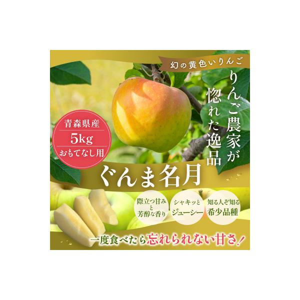 【26年11月より順次発送】平均糖度13度以上! ぐんま名月 約5kg おもてなし用