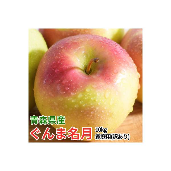 【26年11月~12月出荷】平均糖度13度以上! ぐんま名月 約10kg 訳あり りんご 青森県産