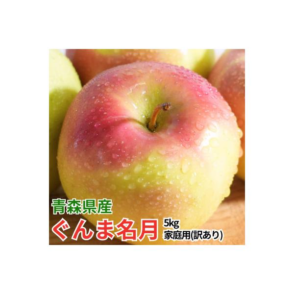 【26年11月より順次発送】平均糖度13度以上! ぐんま名月 約5kg 訳あり
