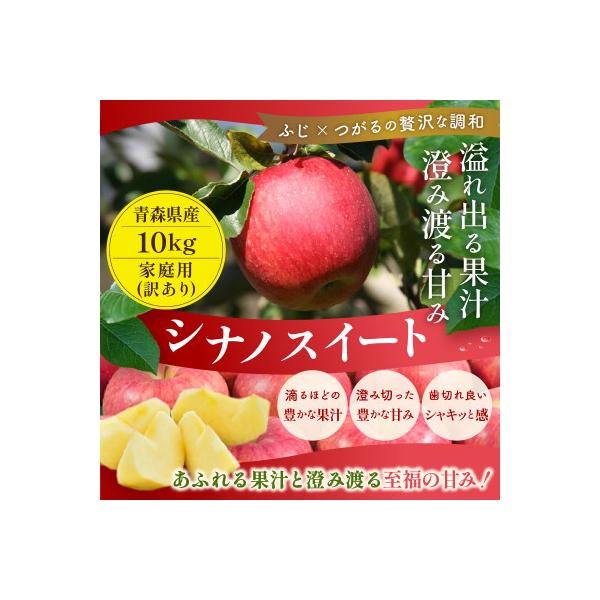 【26年11月より順次発送】平均糖度13度以上! シナノスイート 約10kg 訳あり 青森りんご