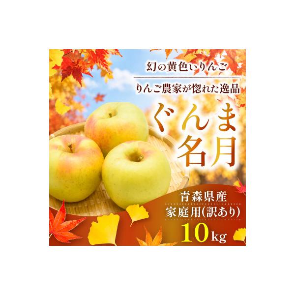 【26年11月から順次発送】平均糖度13度以上! ぐんま名月 約10kg 訳あり 青森県産 りんご