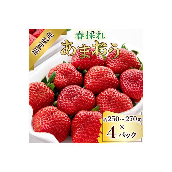 【数量限定】【2027年3月下旬発送開始】福岡県産春採れあまおう 約270g×4パック