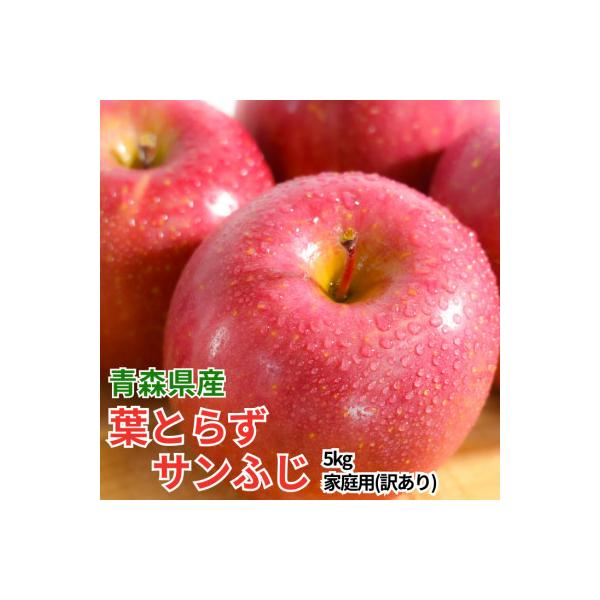 【26年11月から順次発送】平均糖度13度以上! 葉とらずサンふじ 約5kg 訳あり 青森 りんご