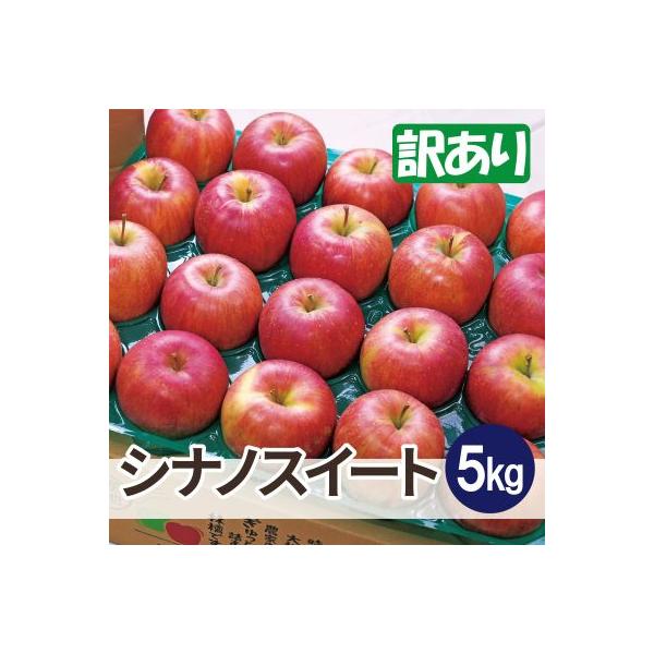 【26年11月から順次発送】平均糖度13度以上! シナノスイート 約5kg 訳あり 青森県産 りんご