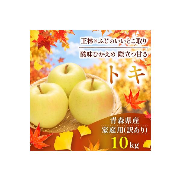 【26年10月～27年1月順次出荷予定】平均糖度13度以上! トキ 約10kg 訳あり　青森りんご