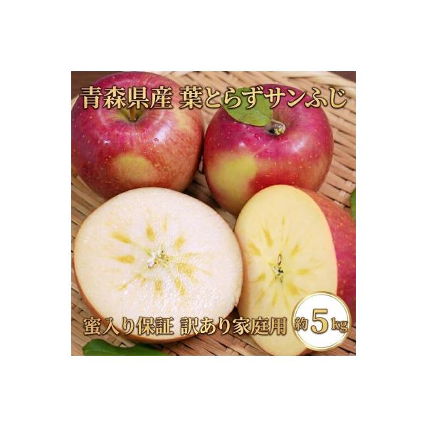 【26年11月から発送】平均糖度13度以上! 蜜入り 葉とらずサンふじ 約5kg 訳あり 青森りんご