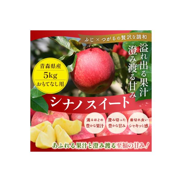 【26年10月より順次発送】平均糖度13度以上! シナノスイート 約5kg おもてなし用　青森りんご