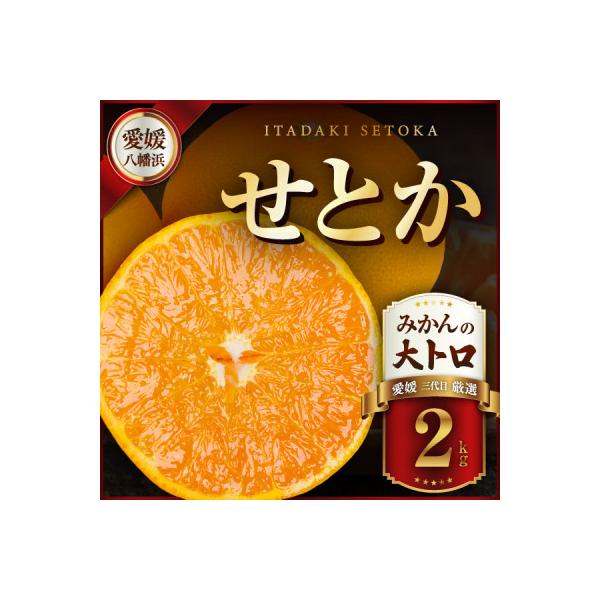 三代目の柑橘の大トロ【せとか】2kg【C31-49】