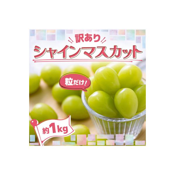 ■お礼品詳細　・配送種別：冷蔵便　・提供元：トゥルーバファーム青森株式会社■お申し込み・配送・その他　・発送時期：2026-09-10〜2026-12-27(お届け時間帯指定可)　・申込受付期間：〜2026-12-08　・配達外のエリア：離...