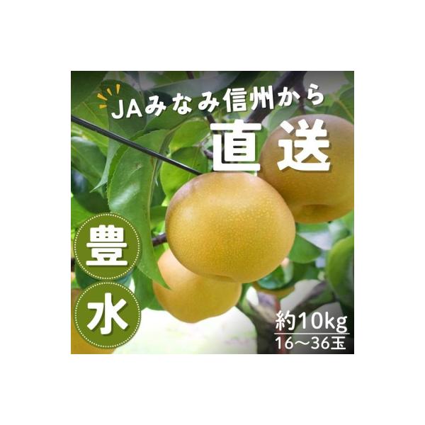 ■お礼品詳細　・配送種別：通常　・提供元：ＪＡみなみ信州　ＤＭセンター（豊丘村）■お申し込み・配送・その他　・発送時期：2026-09-01〜2026-09-18(お届け時間帯指定可)　・申込受付期間：2025-10-27〜2026-09-...