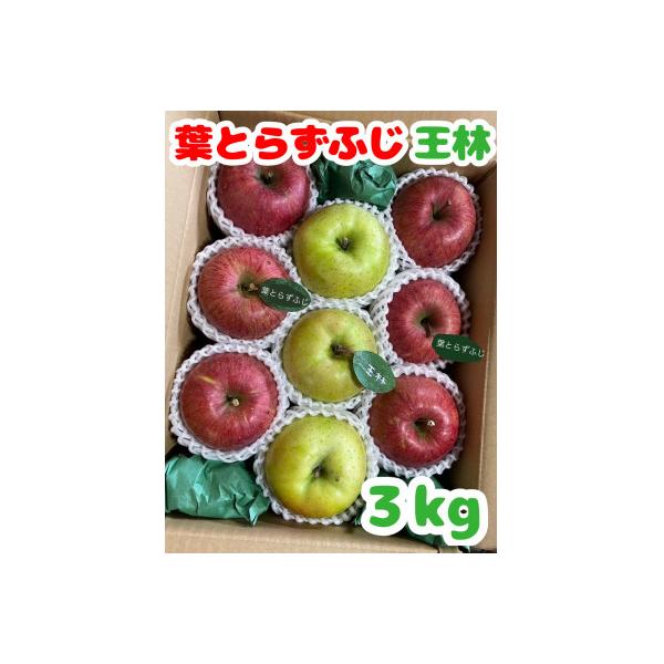 (2026年産予約)【青森市産　完熟葉とらずふじ・王林】約3kg 8～12玉(家庭用)