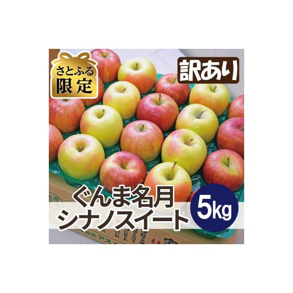 【さとふる限定】11月から順次発送糖度13度以上保証! ぐんま名月×シナノスイート 約5kg 訳あり