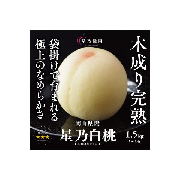 先行受付【星乃白桃】岡山県の桃園からお届けする三つ星の桃 1.5kg(5～6玉)