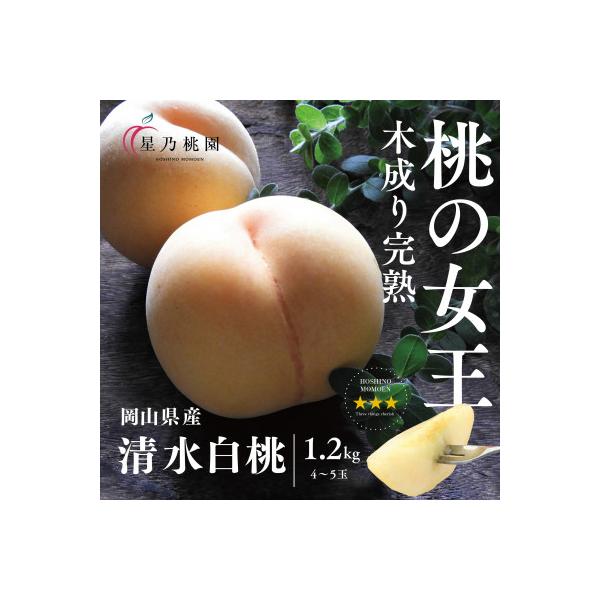 先行受付【清水白桃】岡山県産 三つ星 星乃桃園 1.2kg (4～5玉)
